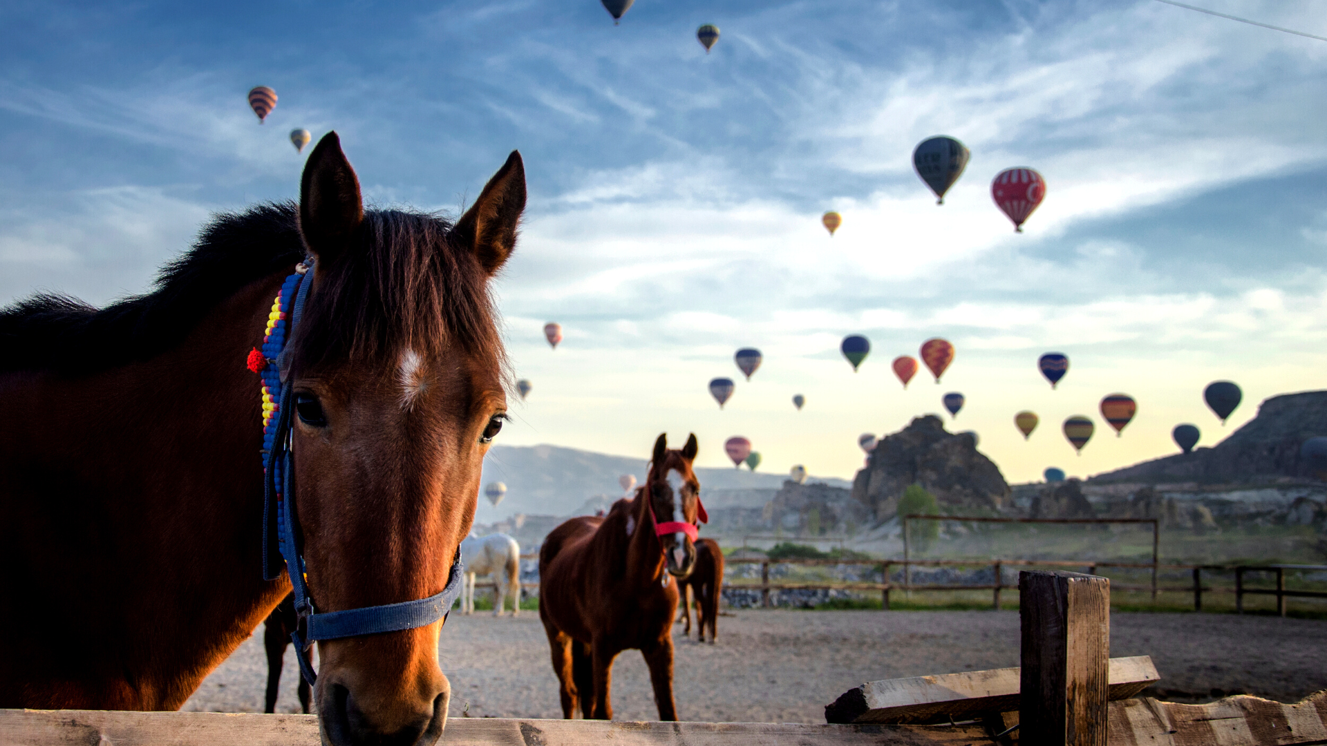 discover-amazing-turkey-on-the-road